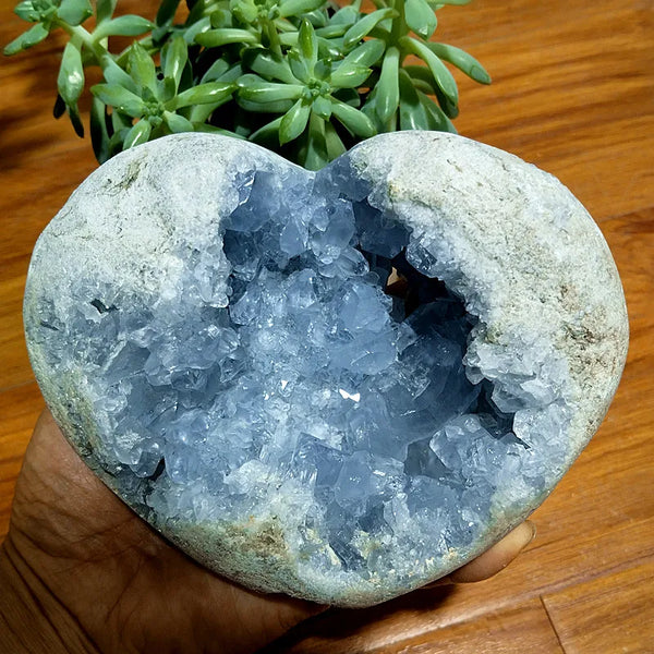 Blue Celestine Geode Crystal-ToShay.org