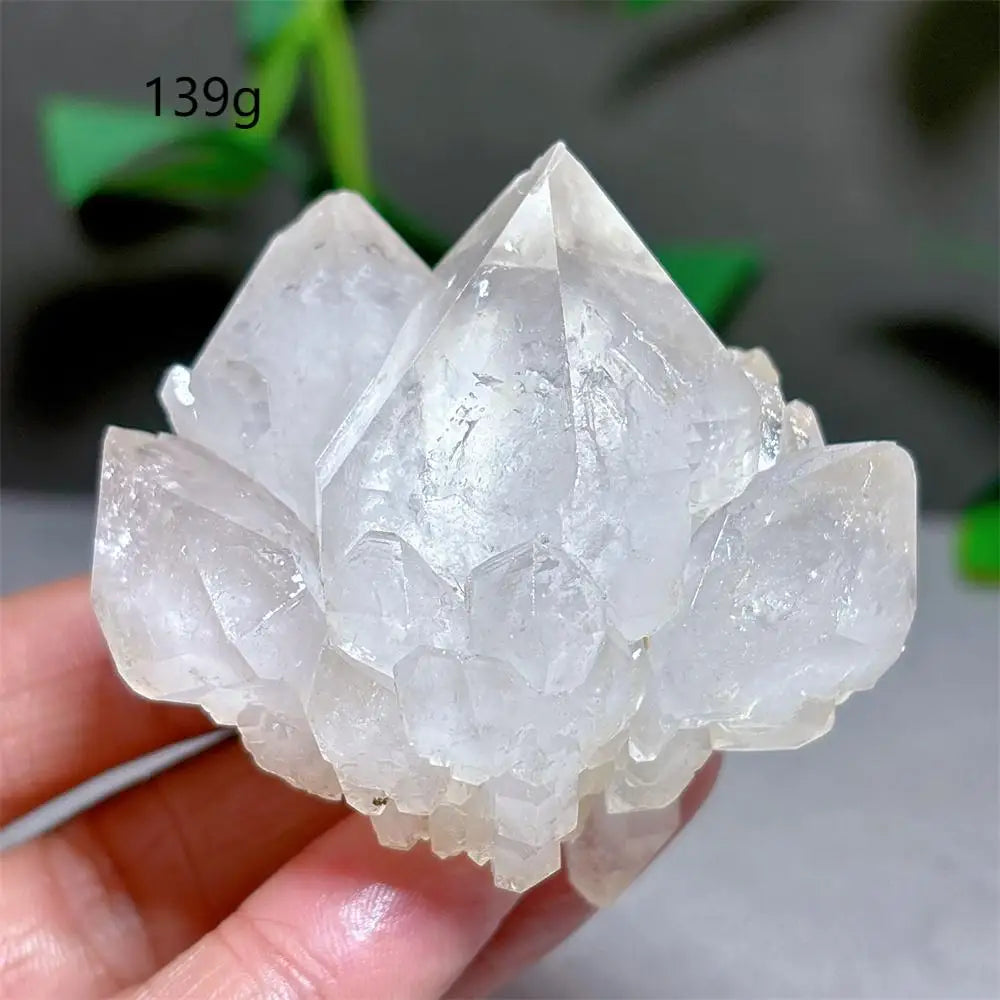 Clear Lotus Backbone Quartz Cluster-ToShay.org