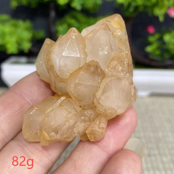 White Quartz Crystal Cluster-ToShay.org
