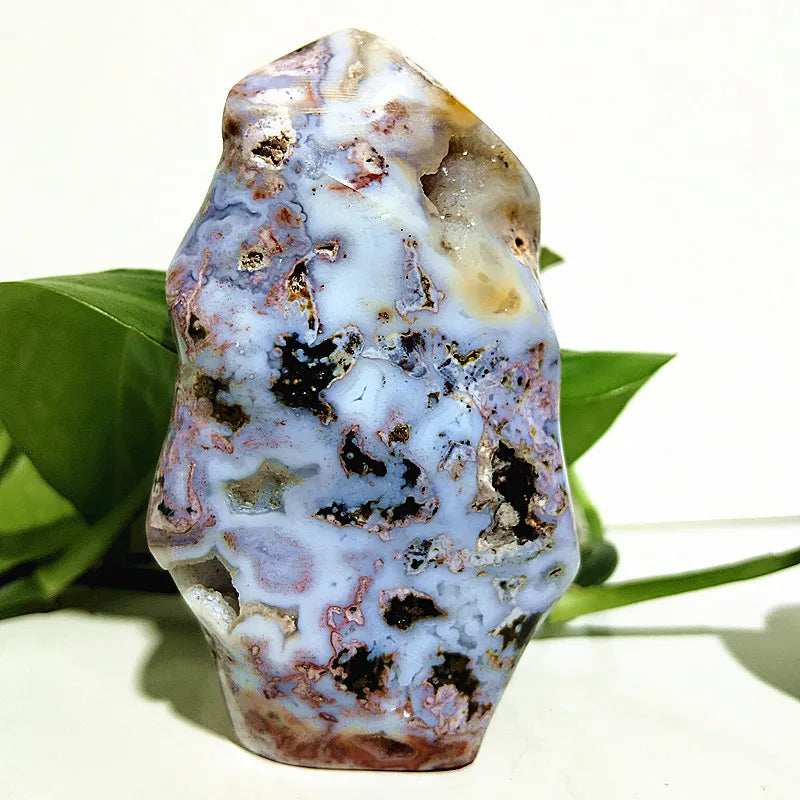 Ocean Jasper Point Flame-ToShay.org