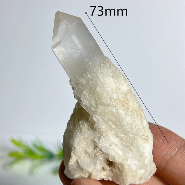 Clear Pineapple Quartz Cluster-ToShay.org