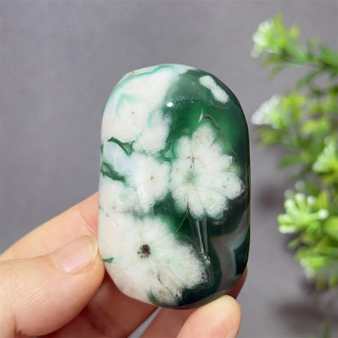 Green Cherry Blossom Agate-ToShay.org