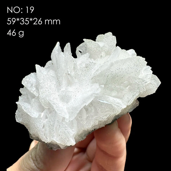 White Calcite Rose-ToShay.org
