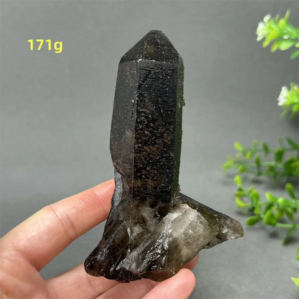 Black Quartz Crystal-ToShay.org