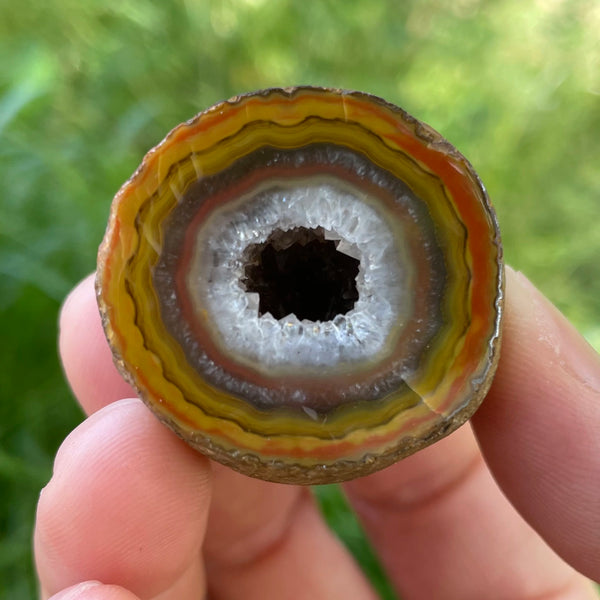 Yellow Agate Geode Egg-ToShay.org