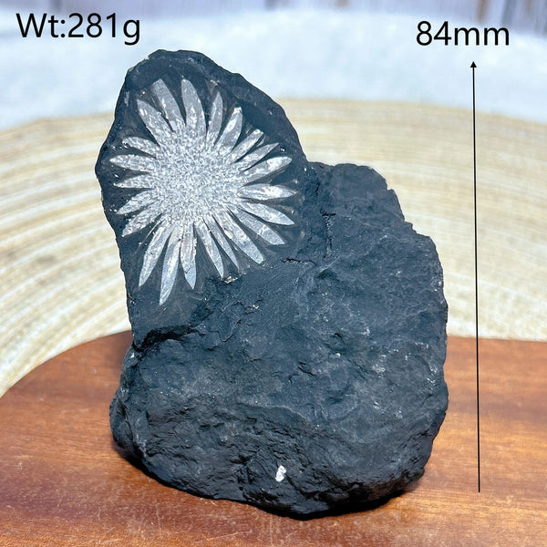 Black Chrysanthemum Raw Stone-ToShay.org