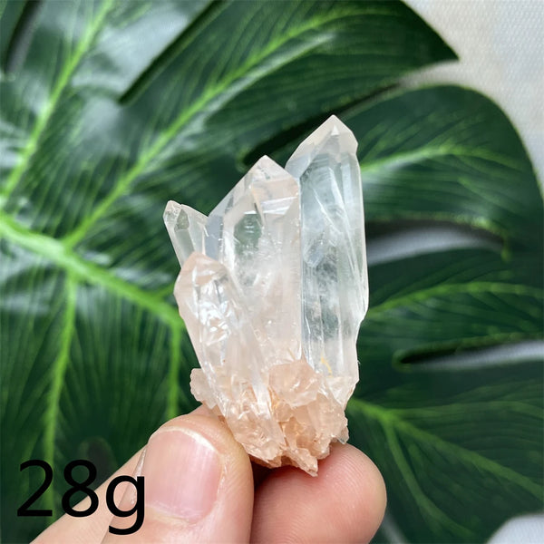Clear Pineapple Quartz Cluster-ToShay.org