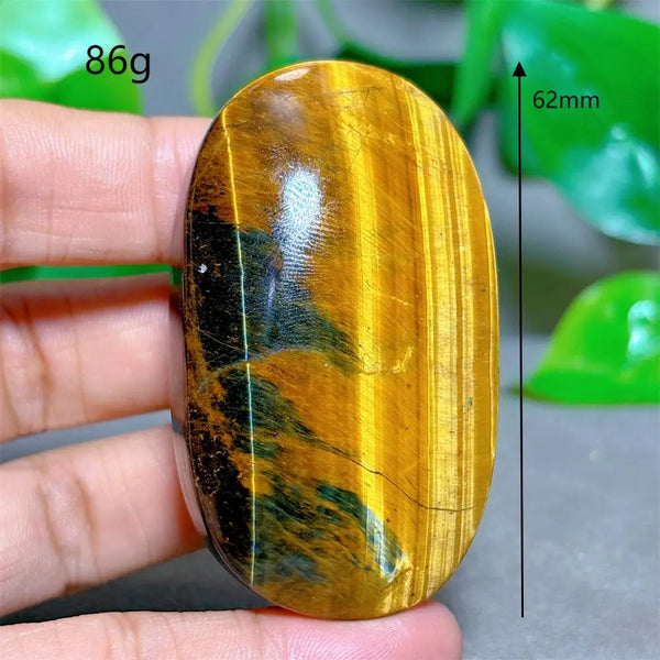 Blue Yellow Tiger Eye-ToShay.org