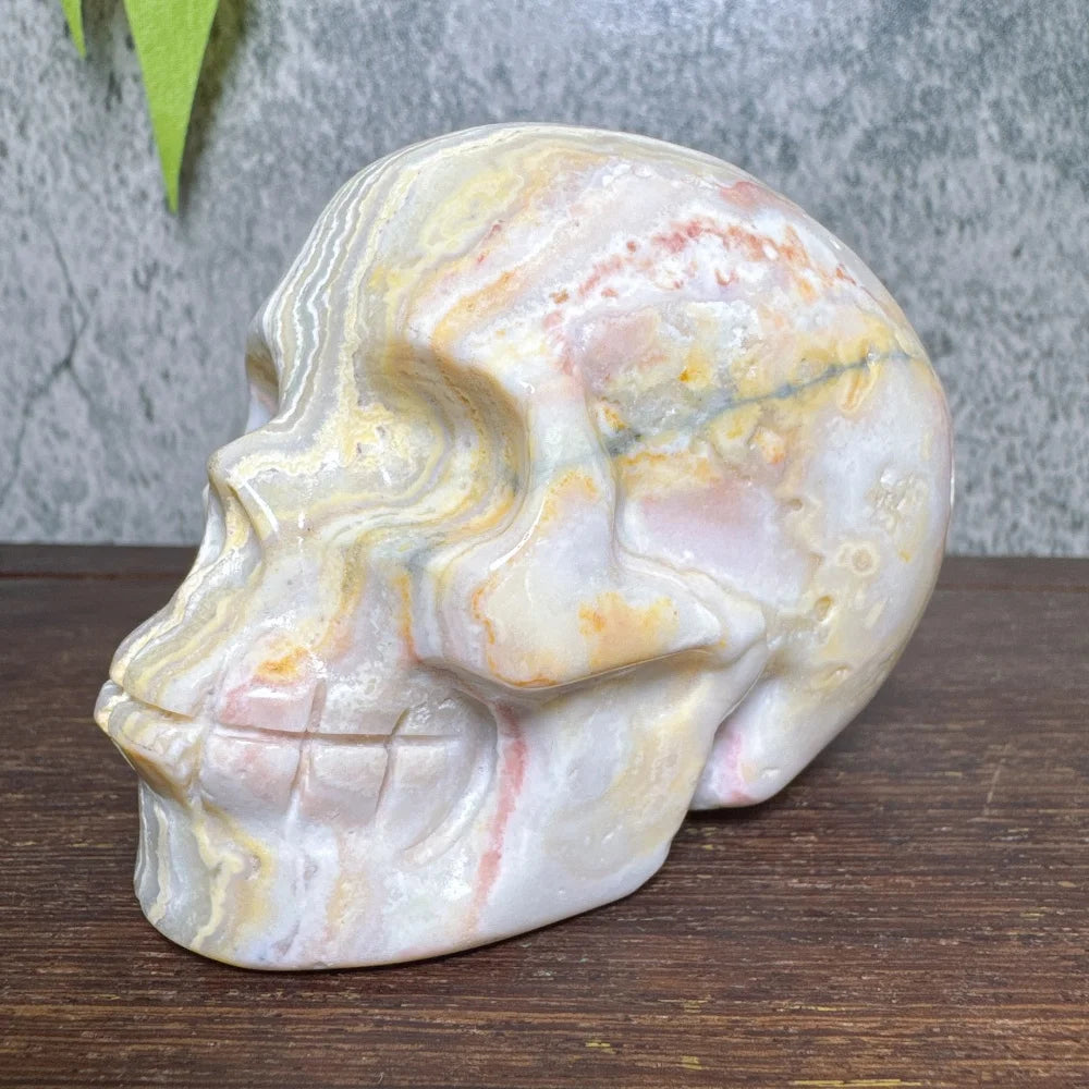 Grey Crazy Lace Agate Skull-ToShay.org