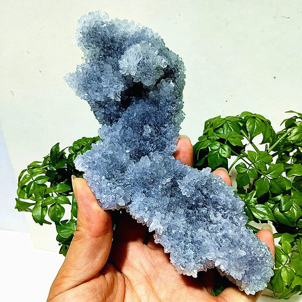 Purple Chrysanthemum Fluorite Crystal-ToShay.org