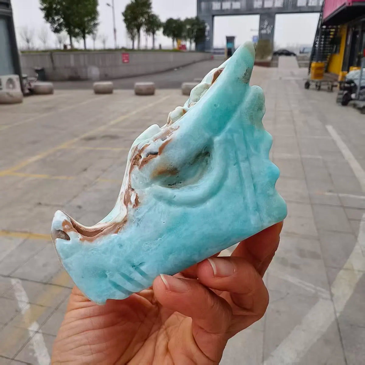 Blue Ore Dragon Head-ToShay.org