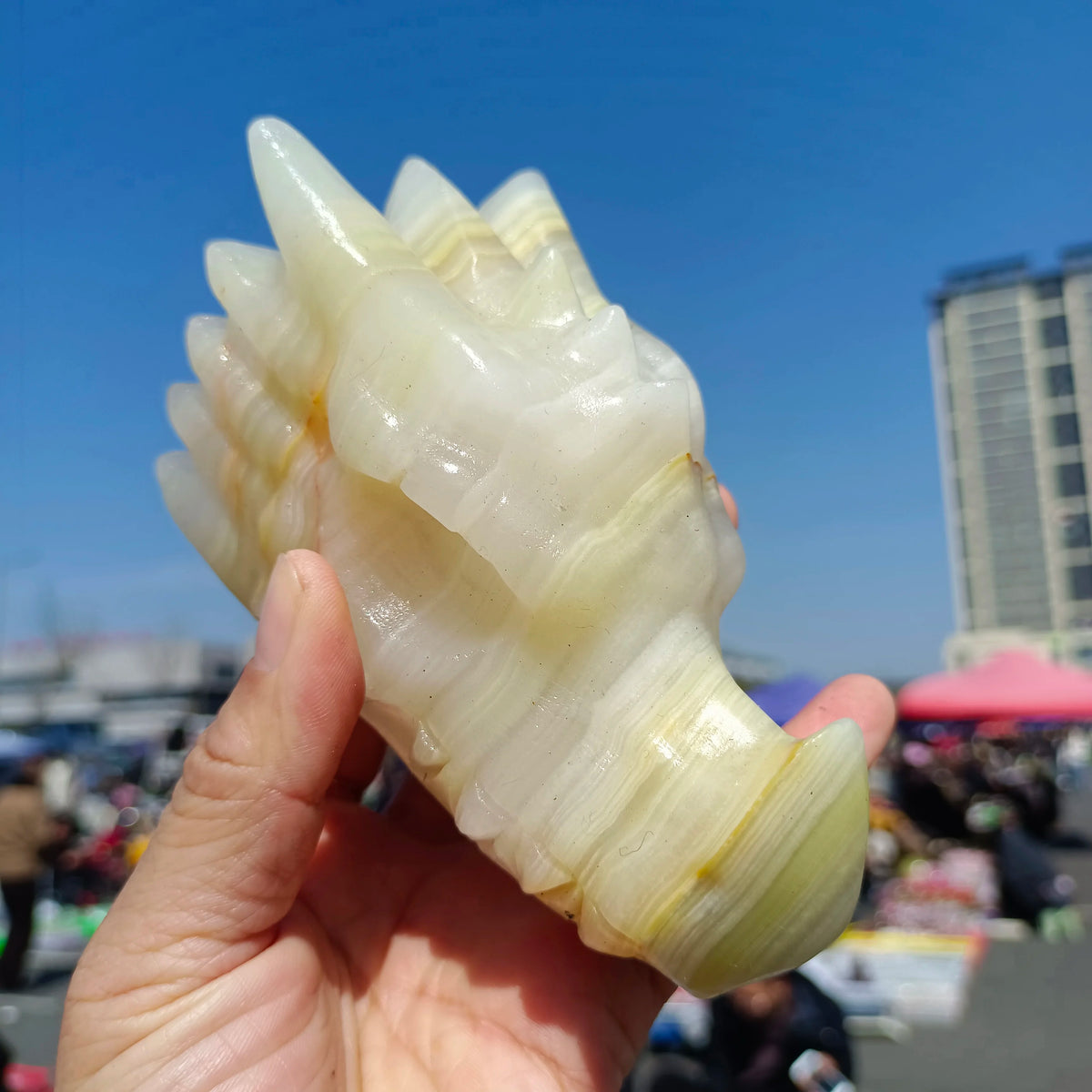 White Jade Dragon Head-ToShay.org