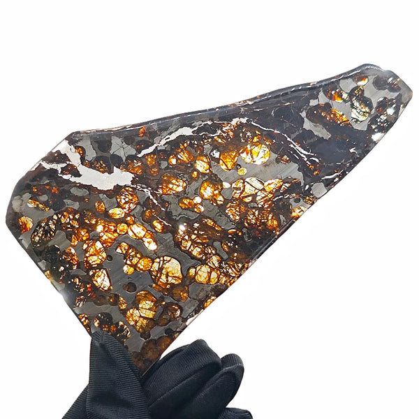 Olive Meteorite Slice-ToShay.org