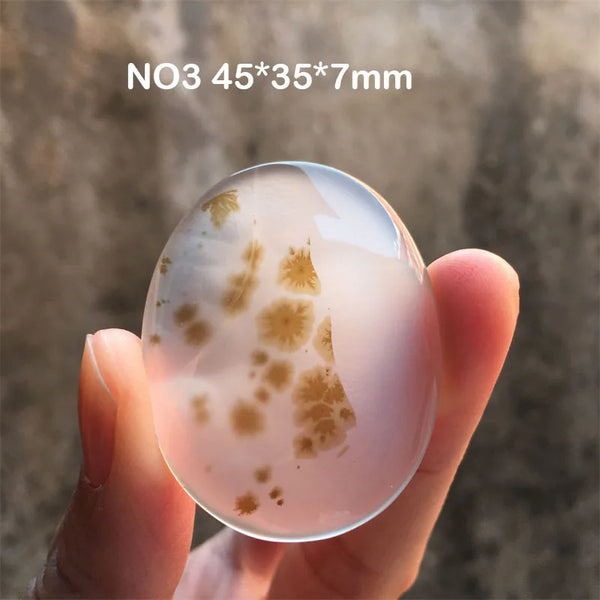 White Chalcedony Grass Agate-ToShay.org