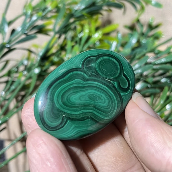 Green Malachite Palm Stone-ToShay.org