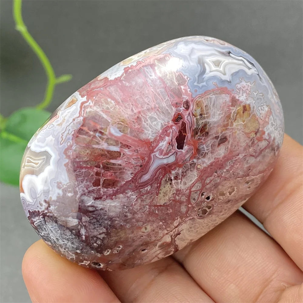 Red Lace Crazy Agate-ToShay.org