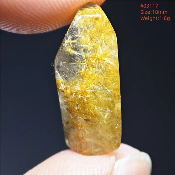 Gold Rutilated Quartz-ToShay.org