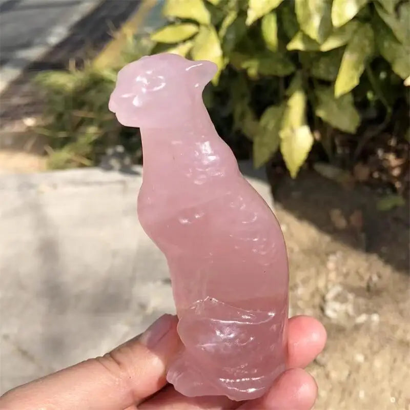 Mixed Crystal Leopard-ToShay.org