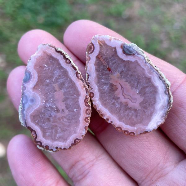 Mixed Agate Geode Egg-ToShay.org