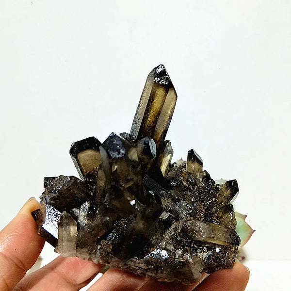 Smoky Quartz Crystal Cluster-ToShay.org