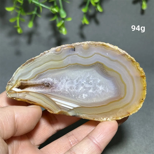 Yellow Agate Slice-ToShay.org