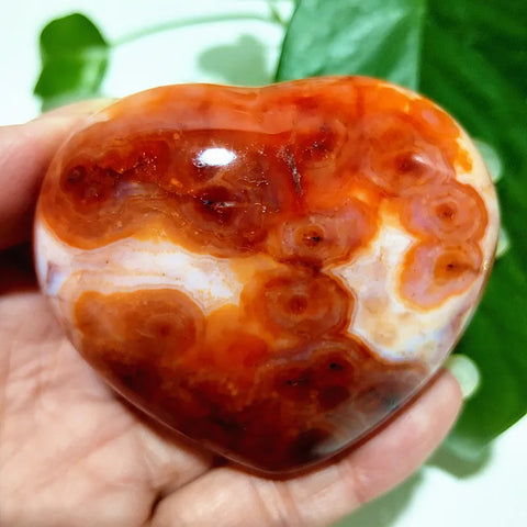 Red Agate Heart-ToShay.org