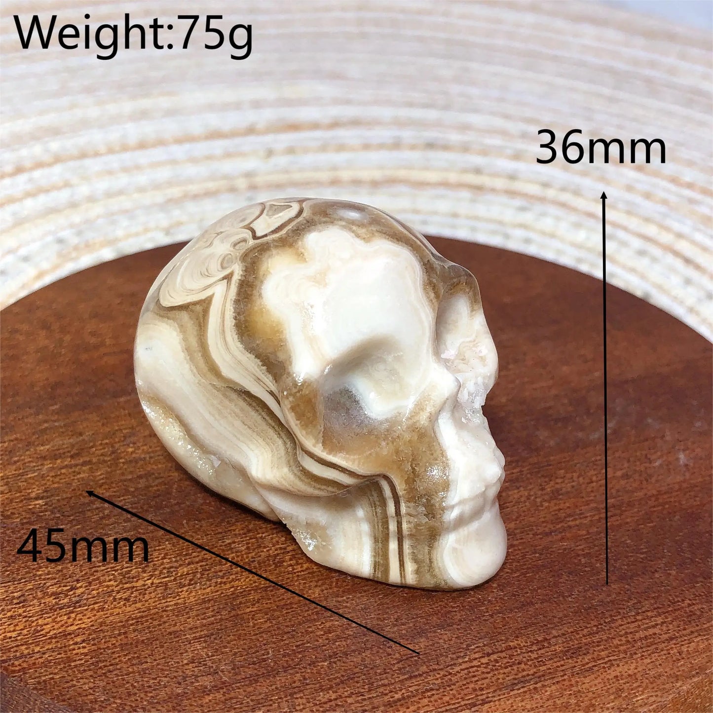 White Chocolate Calcite Skull-ToShay.org