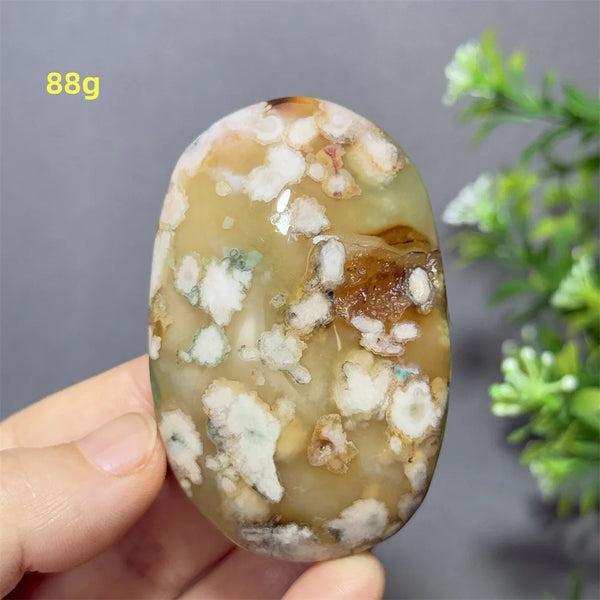 Green Cherry Blossom Agate-ToShay.org