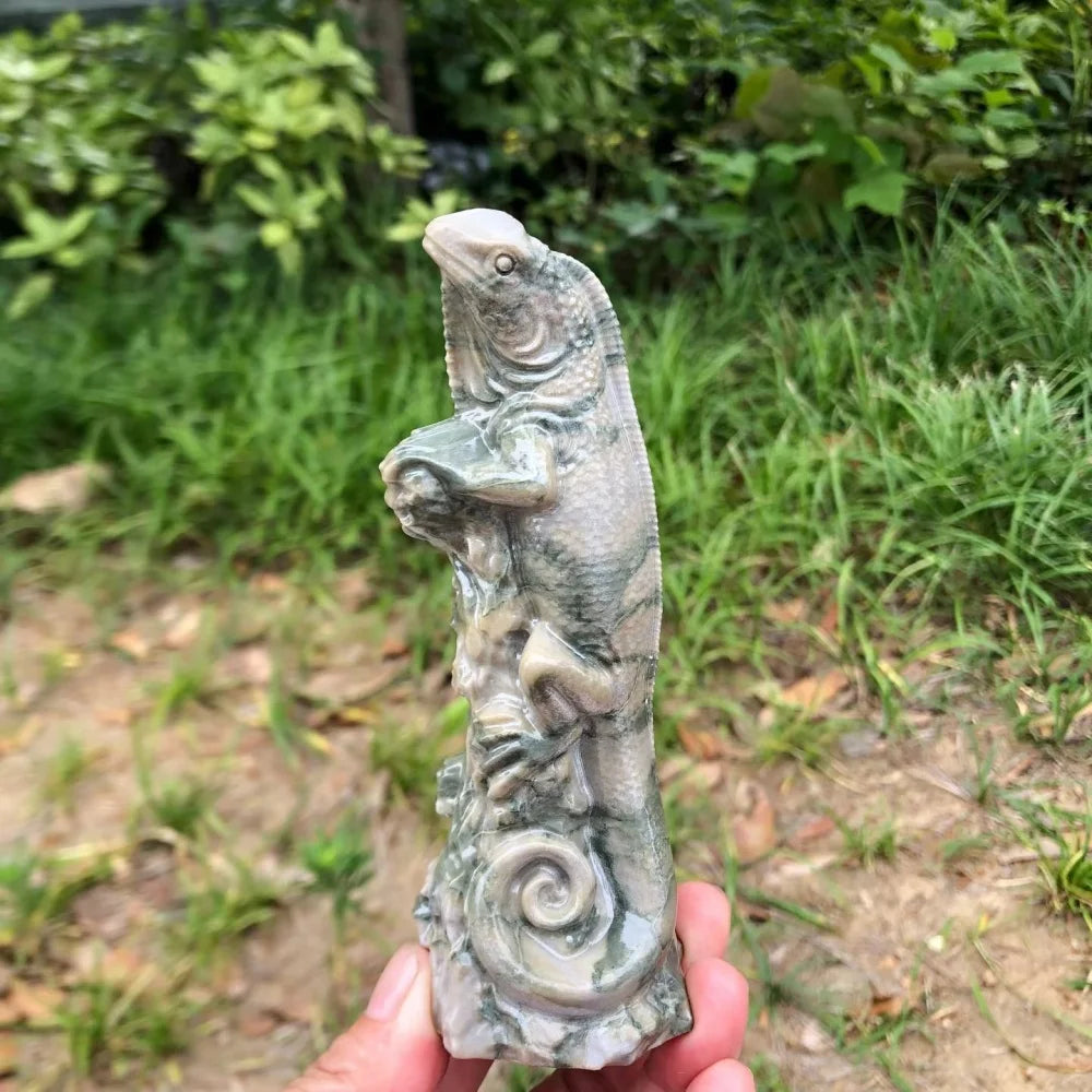 Green Jade Lizard-ToShay.org