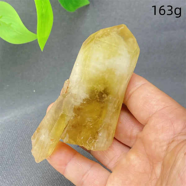 Yellow Black Smoky Quartz-ToShay.org
