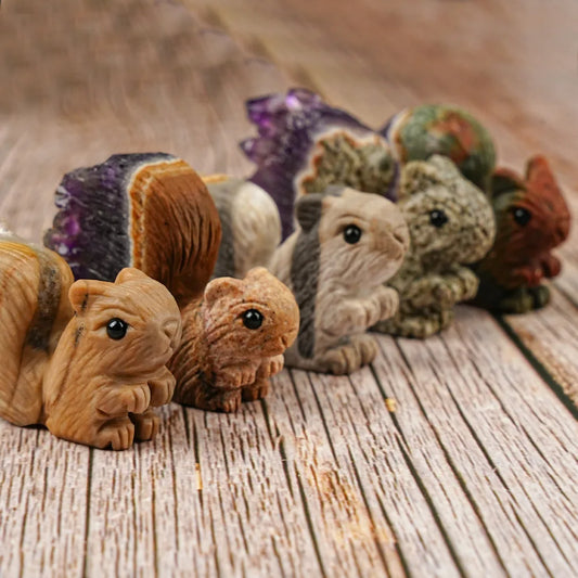 Mixed Chrysanthemum Cluster Squirrel-ToShay.org