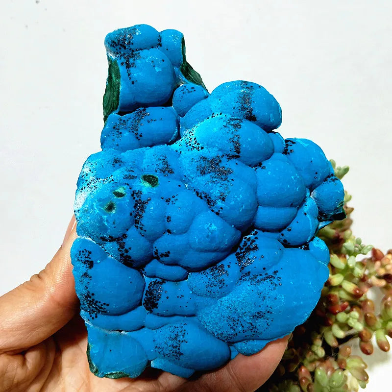 Blue Chrysocolla Crystal-ToShay.org