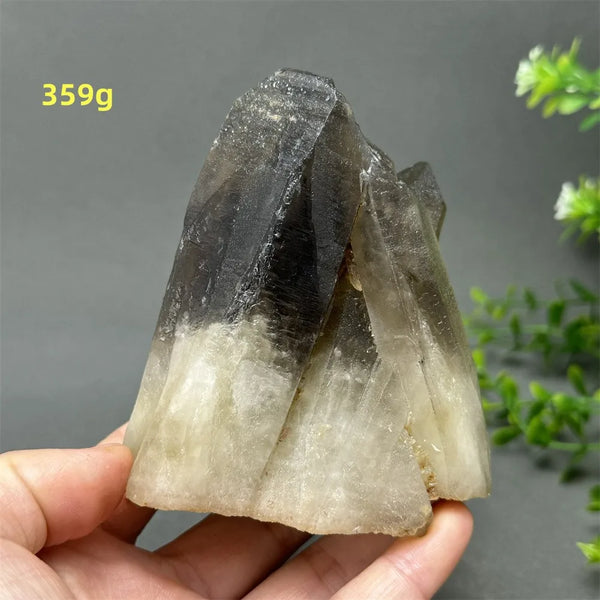 Black Quartz Crystal-ToShay.org