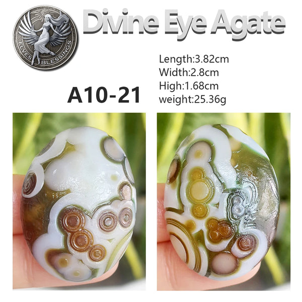 Green Sardonyx Agate-ToShay.org