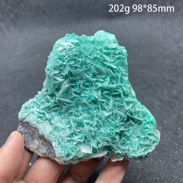 Blue Antlerite Quartz Crystal-ToShay.org