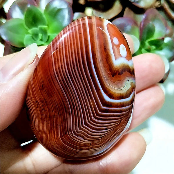 Red Lace Sardonyx Agate-ToShay.org