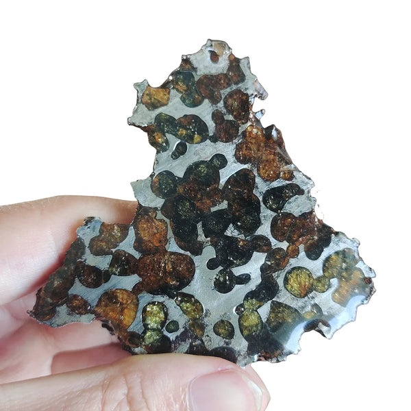 Olive Meteorite Pendant-ToShay.org