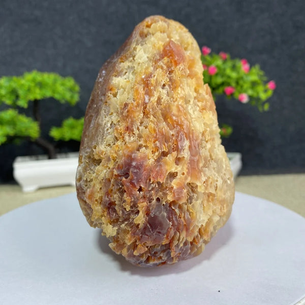 Yellow Honeycomb Agate-ToShay.org