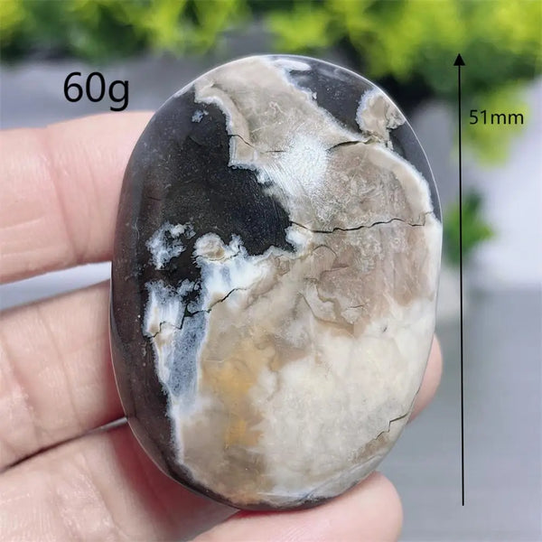 Fire Agate Palm Stone-ToShay.org