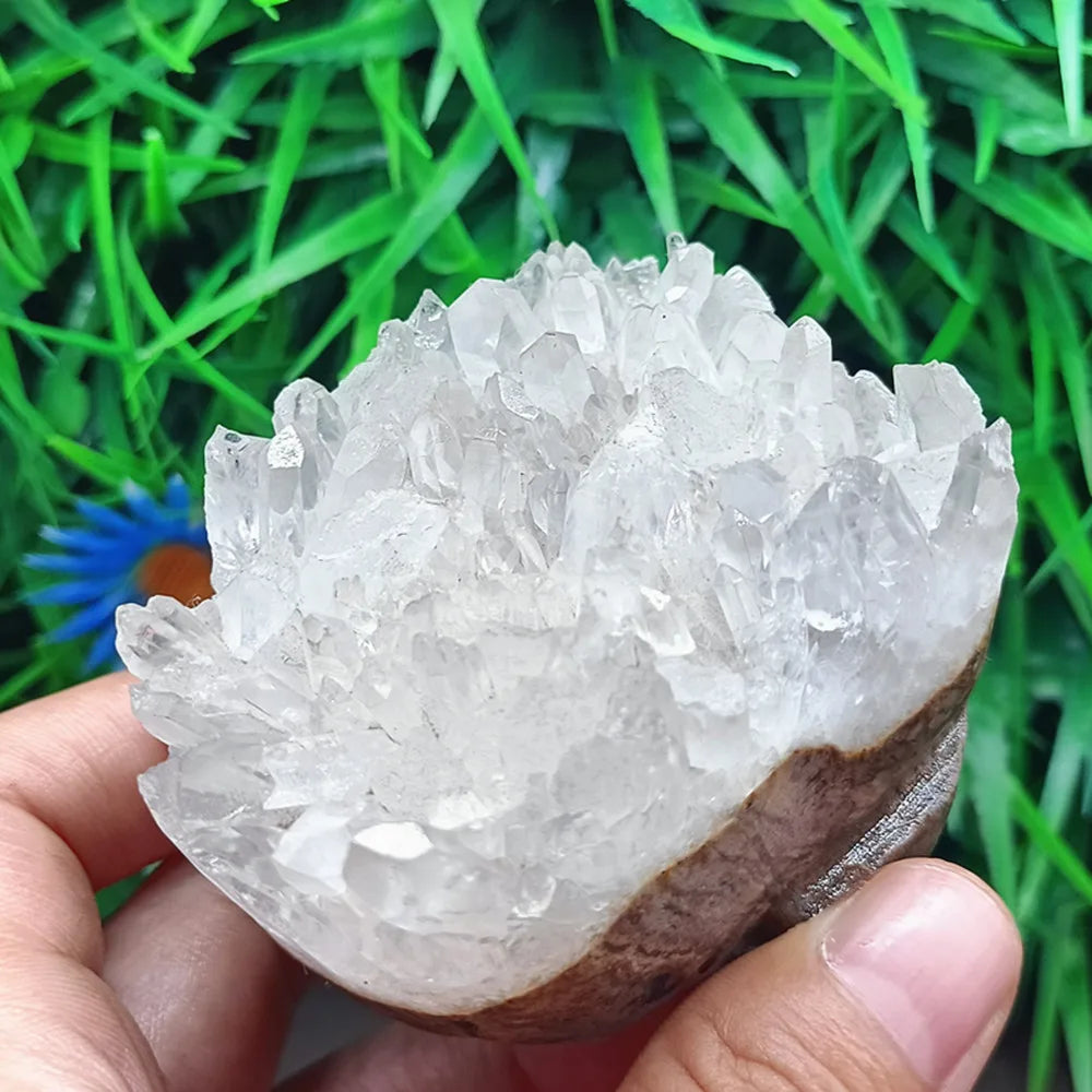 White Crystal Cluster Skull-ToShay.org