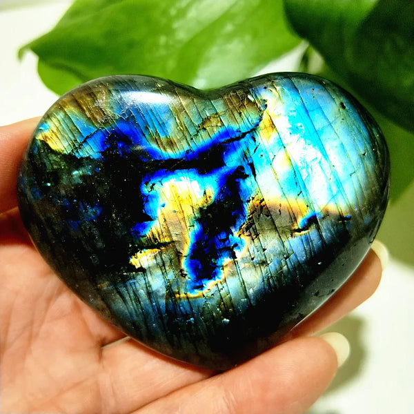 Blue Labrador Stone Heart-ToShay.org