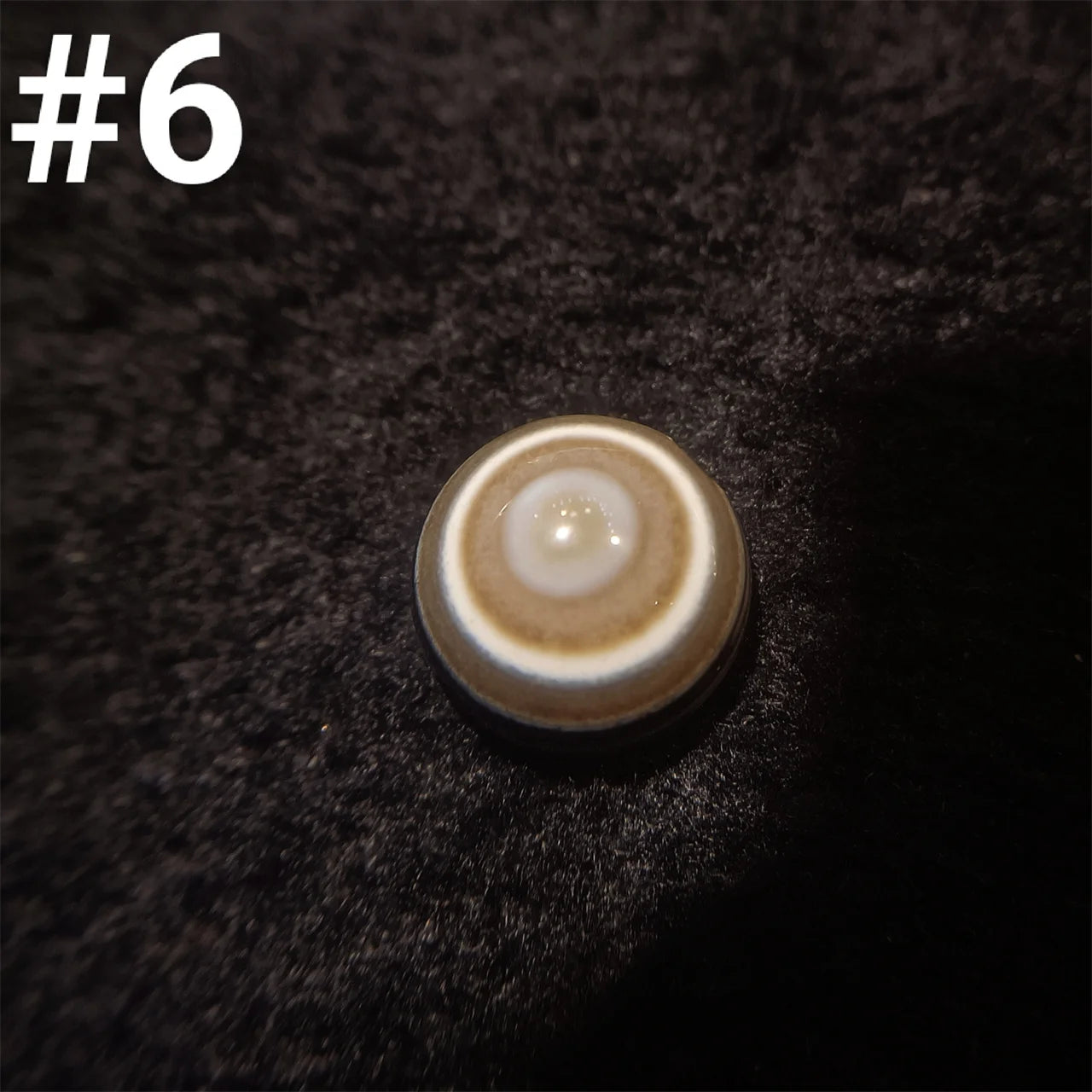 Black White Sheep Eye Agate-ToShay.org