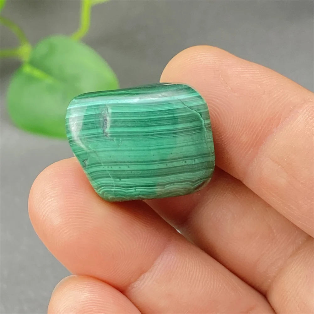 Green Malachite Tumbled Stone-ToShay.org
