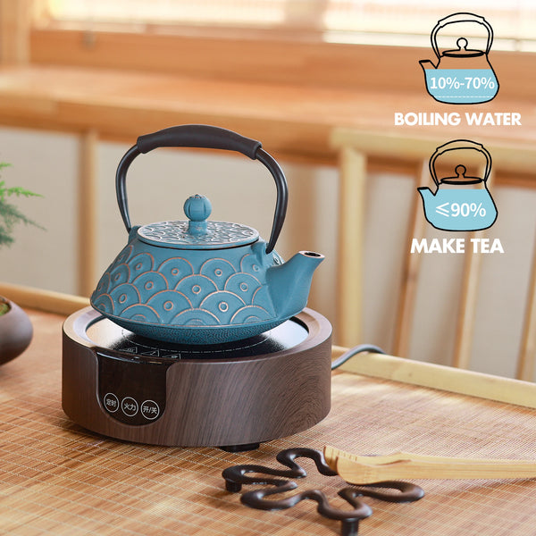 Cast Iron Tea Kettle-ToShay.org