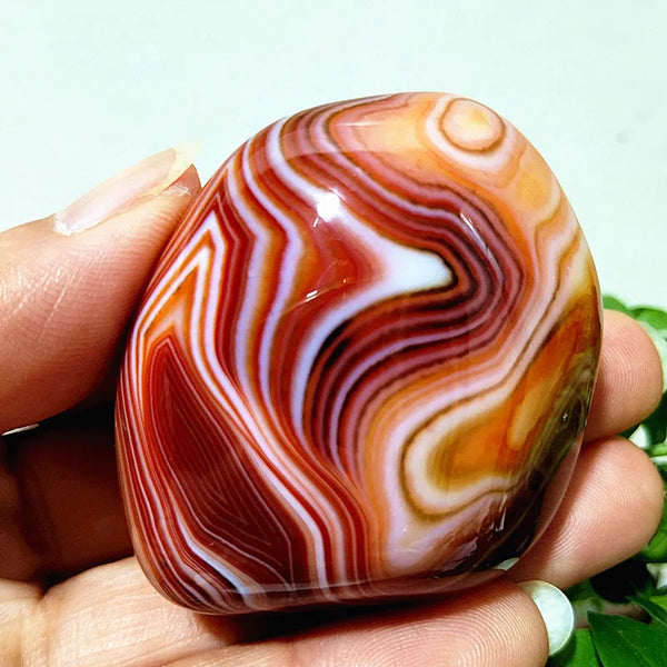 Red Sardonyx Lace Agate-ToShay.org