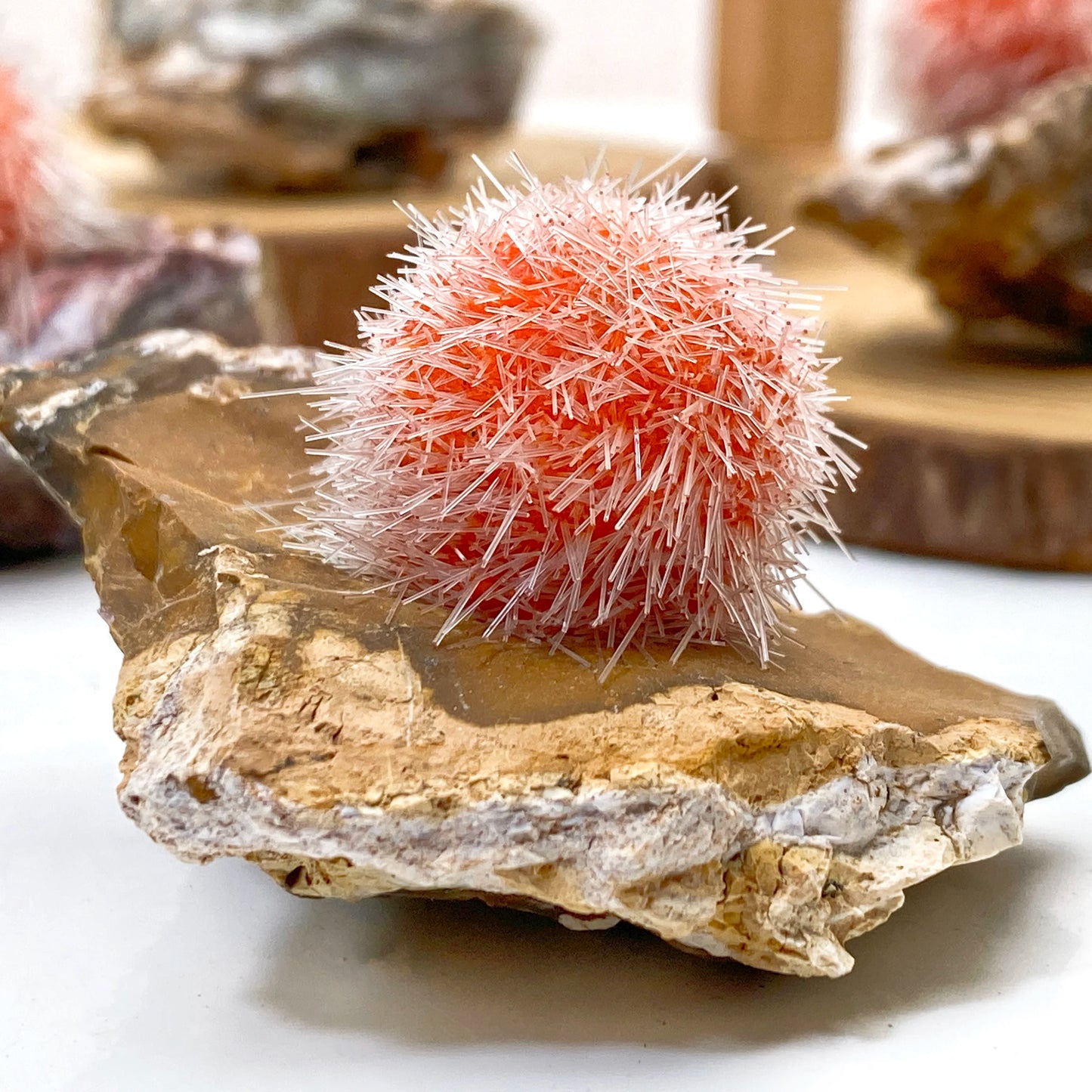 Orange Zeolite Mineral Cluster-ToShay.org