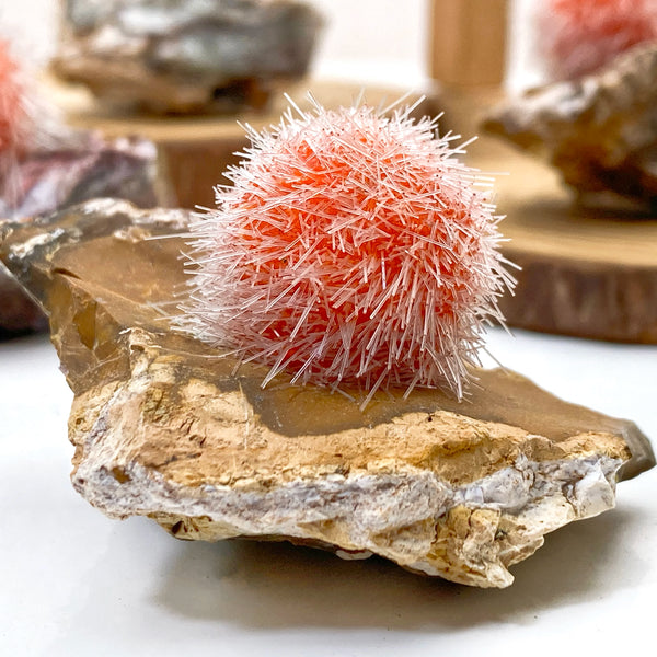 Orange Zeolite Mineral Cluster-ToShay.org