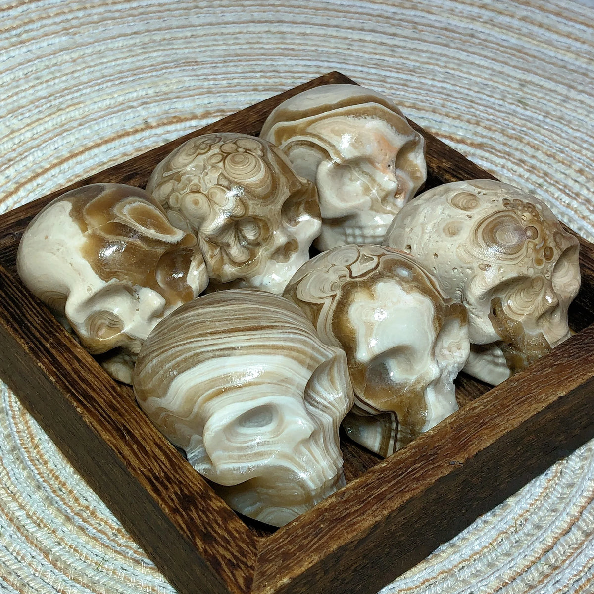 Brown Chocolate Calcite Skull-ToShay.org