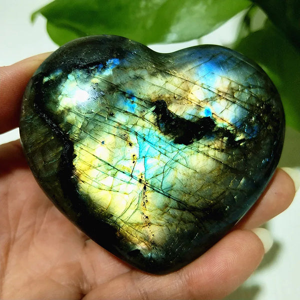Blue Labrador Stone Heart-ToShay.org