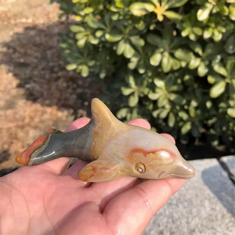 Ocean Jade Dolphin-ToShay.org